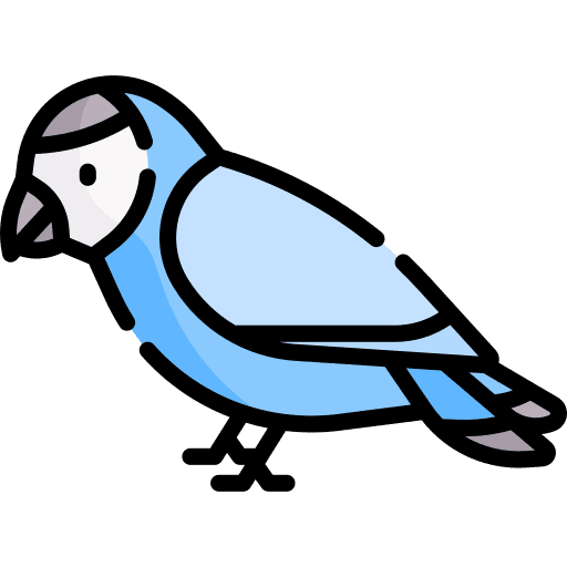 Parrot animals animal ornithology icon