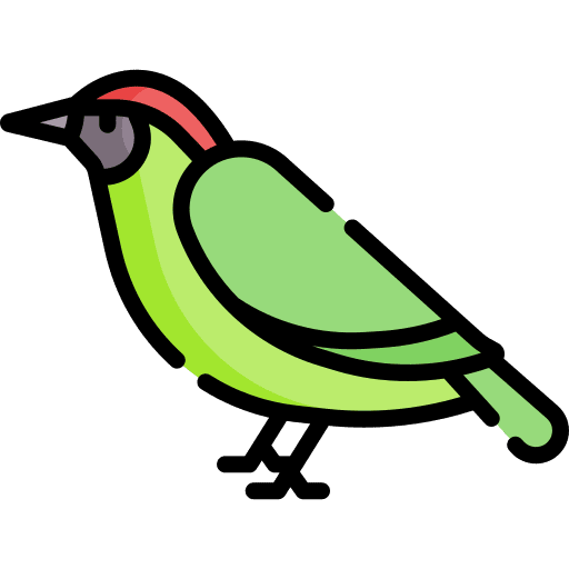 Woodpecker animals bird ornithology icon