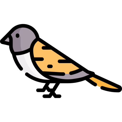 Bird animal zoo bird icon