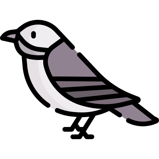 Bird zoo animals bird icon