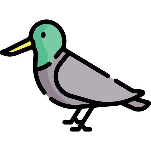 Bird zoo animals ornithology icon