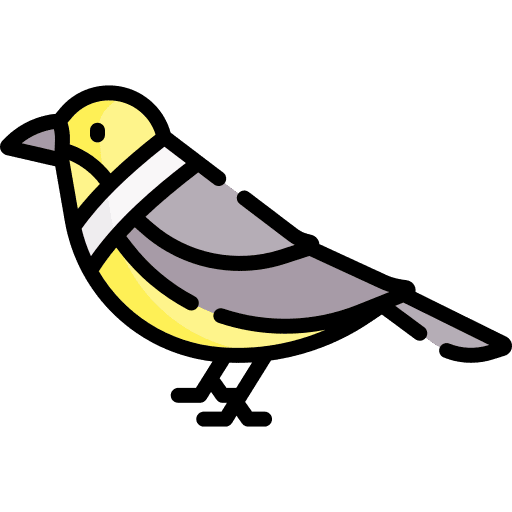 Bird zoo ornithology animals icon