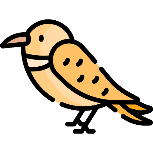 Bird zoo ornithology animals icon