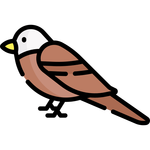 Eagle animals bird zoo icon