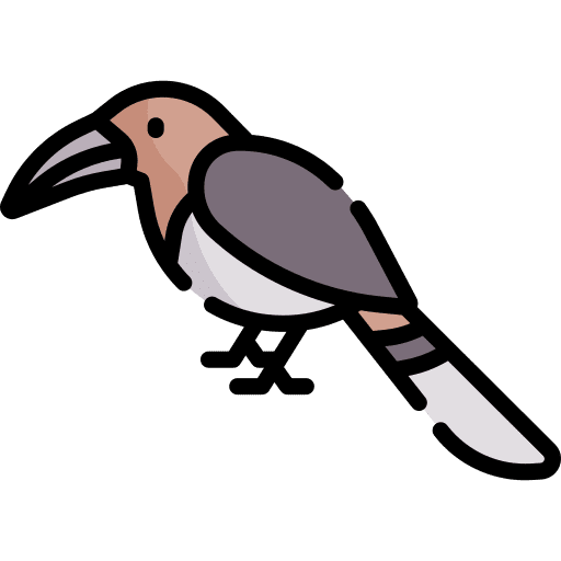 Hornbill ornithology hornbill zoo icon