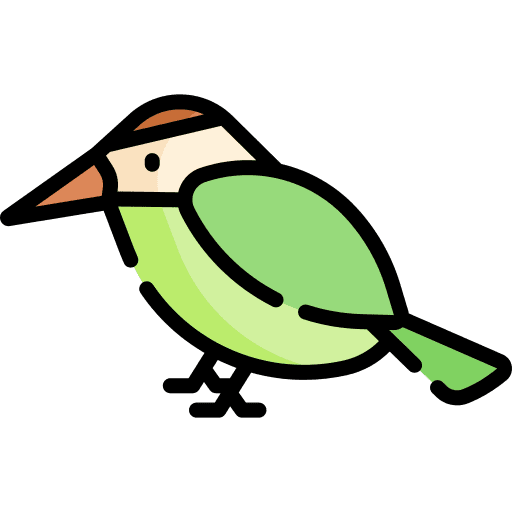 Hummingbird animal zoo ornithology icon