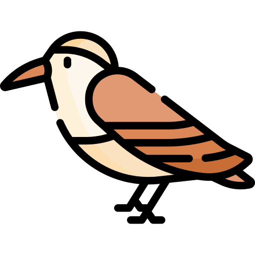 Hummingbird ornithology animals bird icon