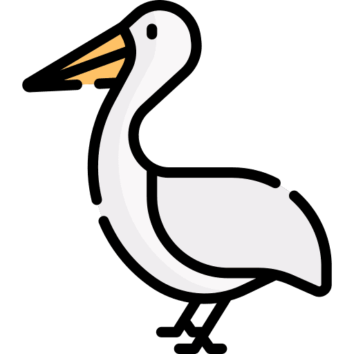 Pelican animals ornithology animal icon