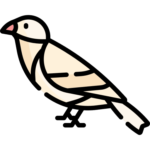 Sparrow animal sparrow bird icon