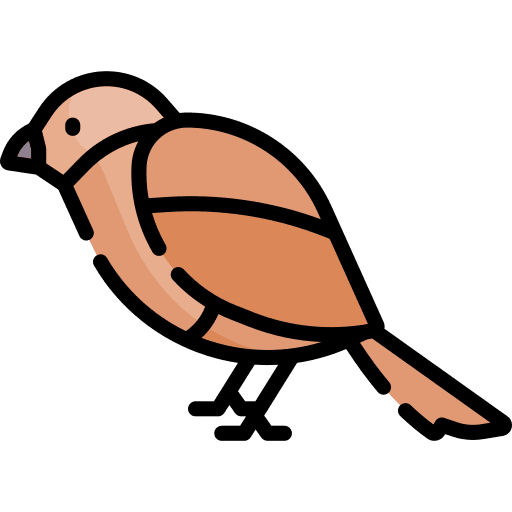 Sparrow bird zoo animal icon