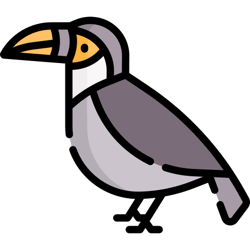 Toucan ornithology zoo animals icon
