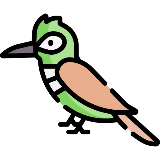 Woodpecker woodpecker animals zoo icon