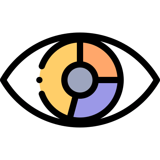 Pie chart focus business and finance eye icon