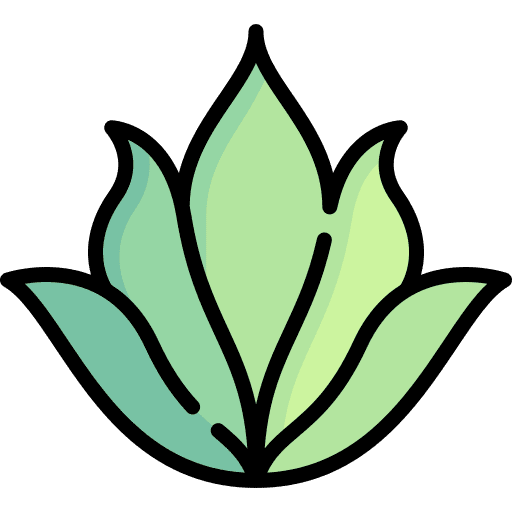 Aloe vera gardening nature natural icon