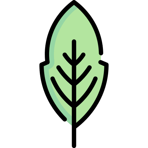 Leaf botanical christmas aesthetic nature icon