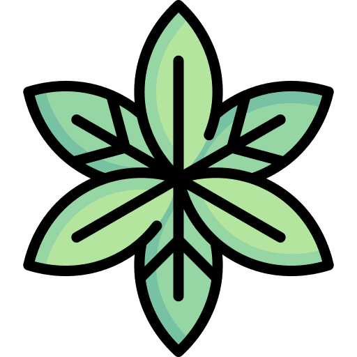 Leaves leaves herbs leaf icon