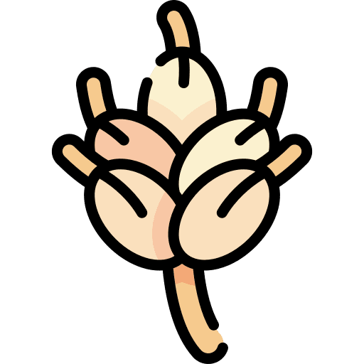 Barley barley nature wheat icon