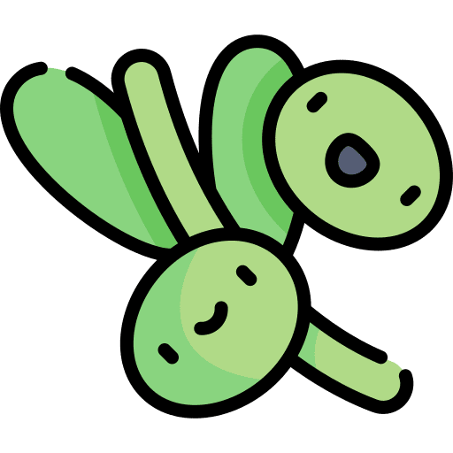 Olive healthy food vegan food and restaurant icon