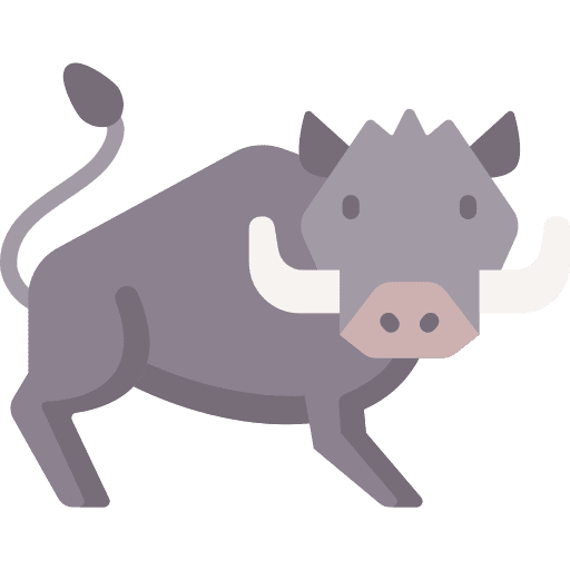 Boar boar animal kingdom animals icon