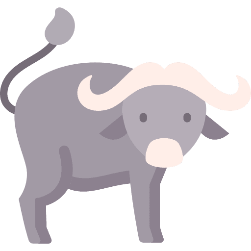 Buffalo african animal kingdom mammal icon