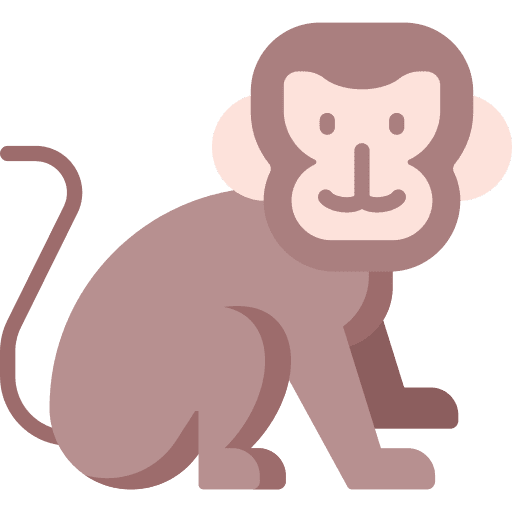 Monkey monkey animal kingdom animal icon
