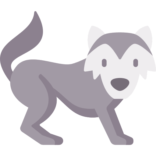 Wolf wild life zoology animal icon