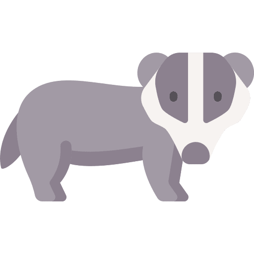 Badger badger zoo animal icon