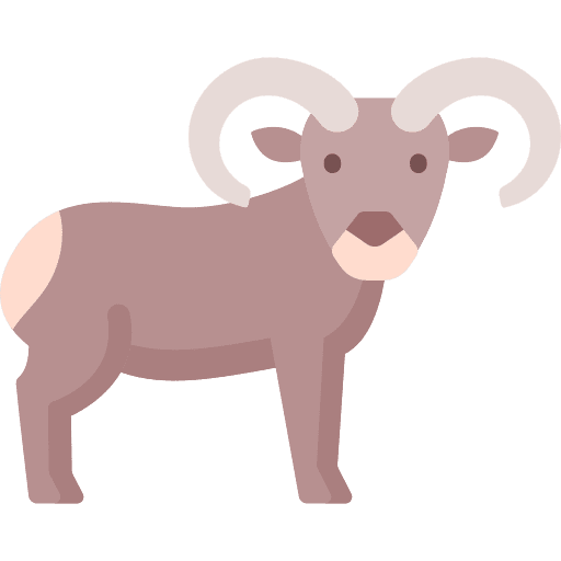 Bighorn sheep nature animals mammal icon