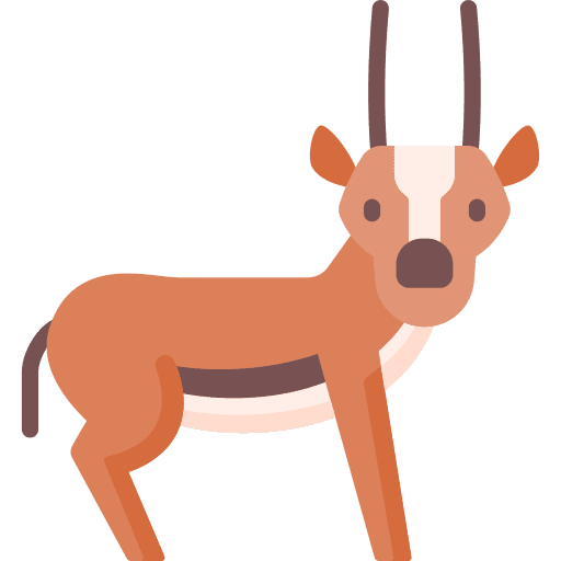 Gazelle cultures gazelle animals icon