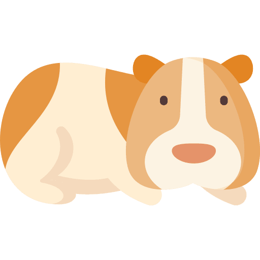 Guinea pig animals animal pet icon
