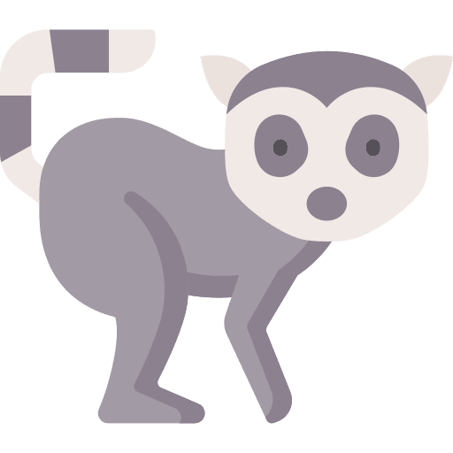 Lemur animal kingdom mammal animals icon