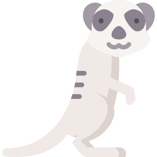 Meerkat zoo animals wildlife icon