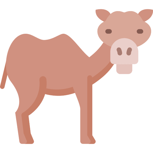 Camel mammal animal camel icon