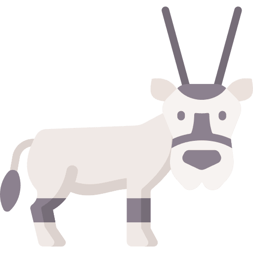 Oryx animal kingdom animals animal icon