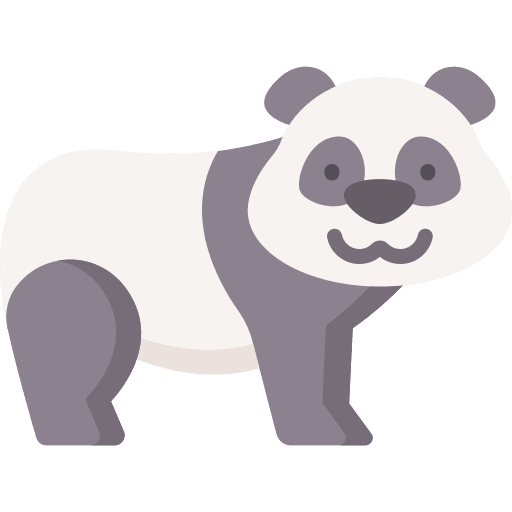 Panda bear chinese animals exotic icon