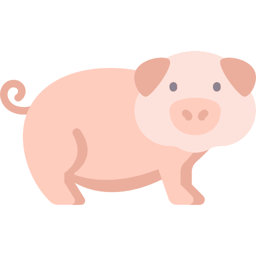 Pig wild life animal animal kingdom icon