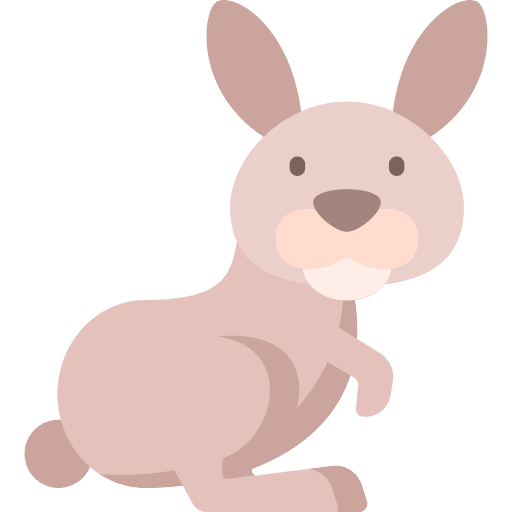 Rabbit mammal bunny animal kingdom icon