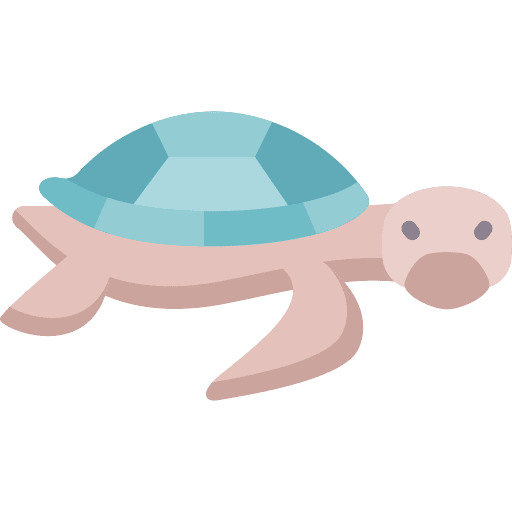 Turtle turtle amphibian tortoise icon