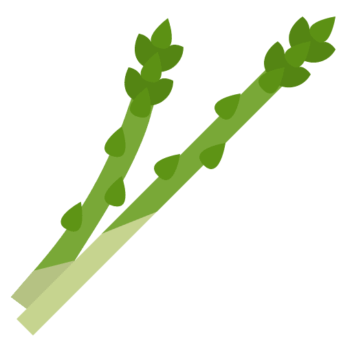 Asparagus healthy food vegetable vegetarian icon