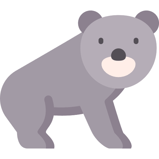 Bear bear animal kingdom animals icon