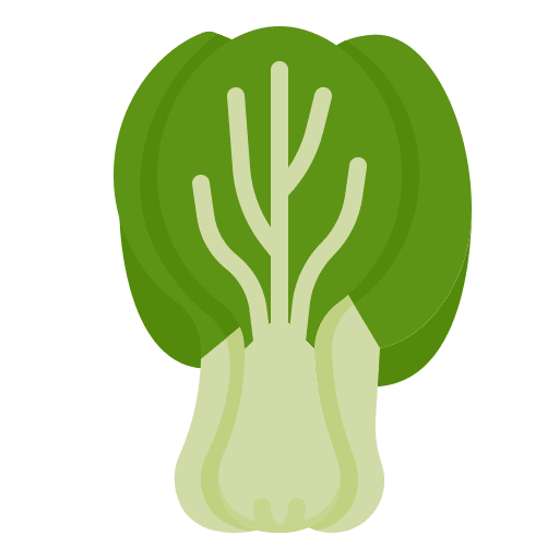 Bok choy organic cabbage vegetable icon