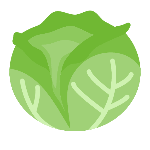 Cabbage vegetarian vegetable vegan icon
