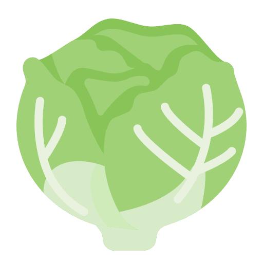 Lettuce vegan organic vegetable icon