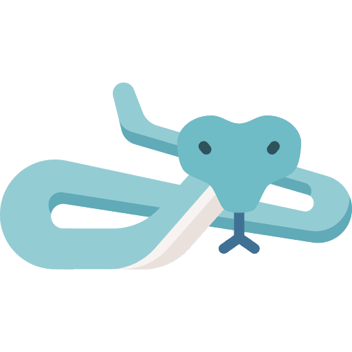 Snake animals animal kingdom snake icon