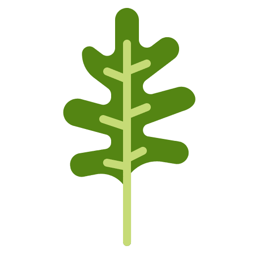 Arugula vegetarian healthy food vegan icon