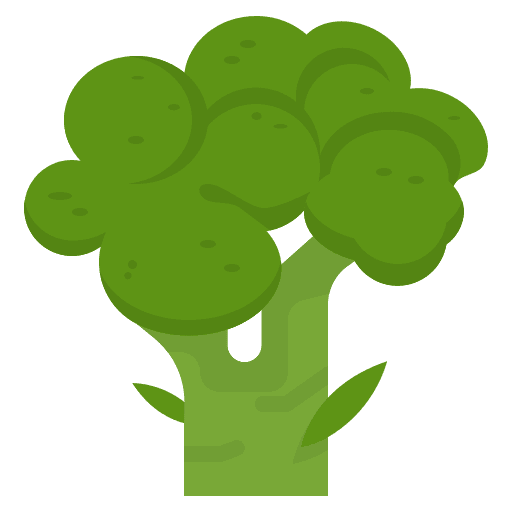 Broccoli healthy food food and restaurant vegetarian icon