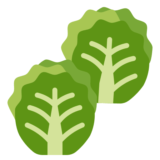 Brussels sprouts brussels sprouts vegetable food and restaurant icon