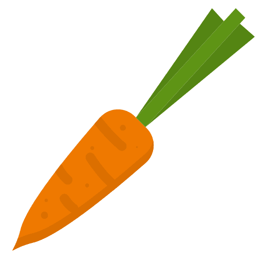 Carrot carrot organic healthy food icon
