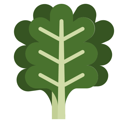 Kale kale vegetable salad icon