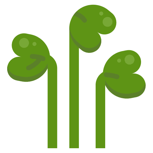 Salad food and restaurant salad organic icon